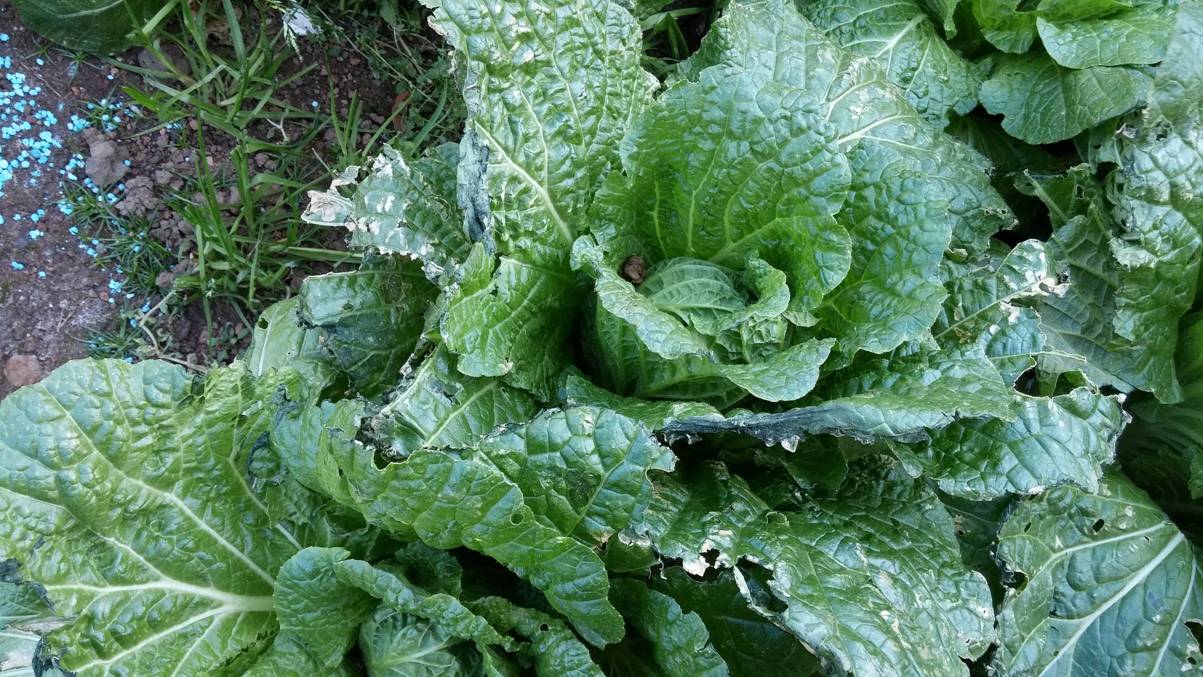 이렇게 된 원인을 알고 싶습니다.